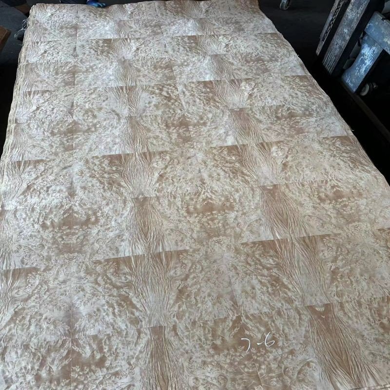 0.5mm Madonna Burl Decorative Solid Wood Veneer