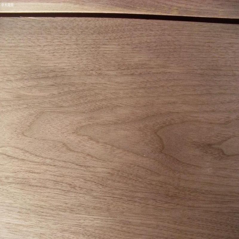 American Walnut Timber