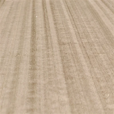 The Basic Meaning Of Wood
