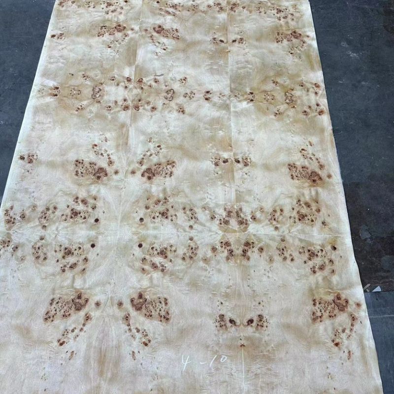 Poplar Burl Veneer