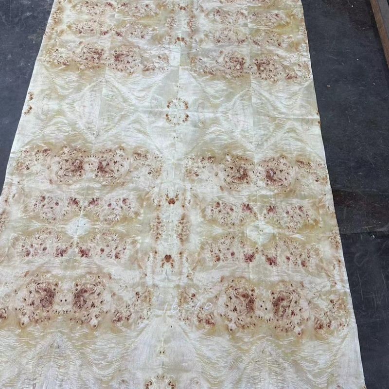 Poplar Burl Veneer