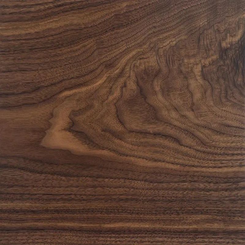 american black walnut
