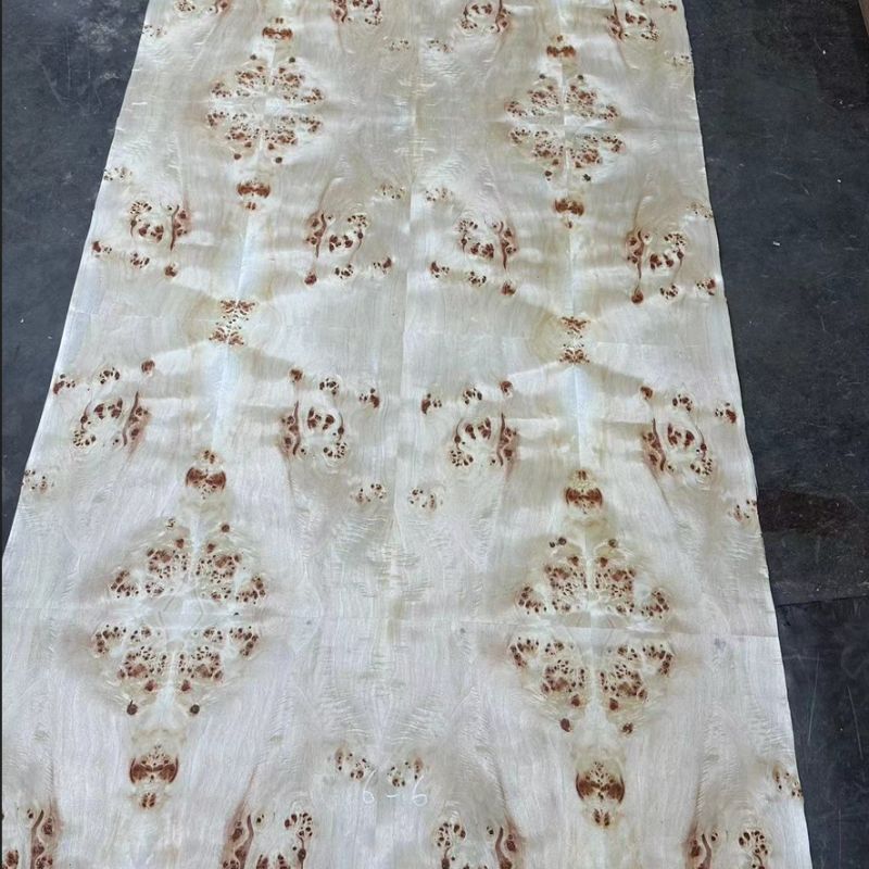 Poplar Burl Veneer 6 Poplar Burl Veneer 6