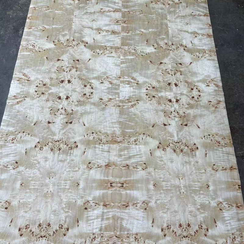 Poplar Burl Veneer 5