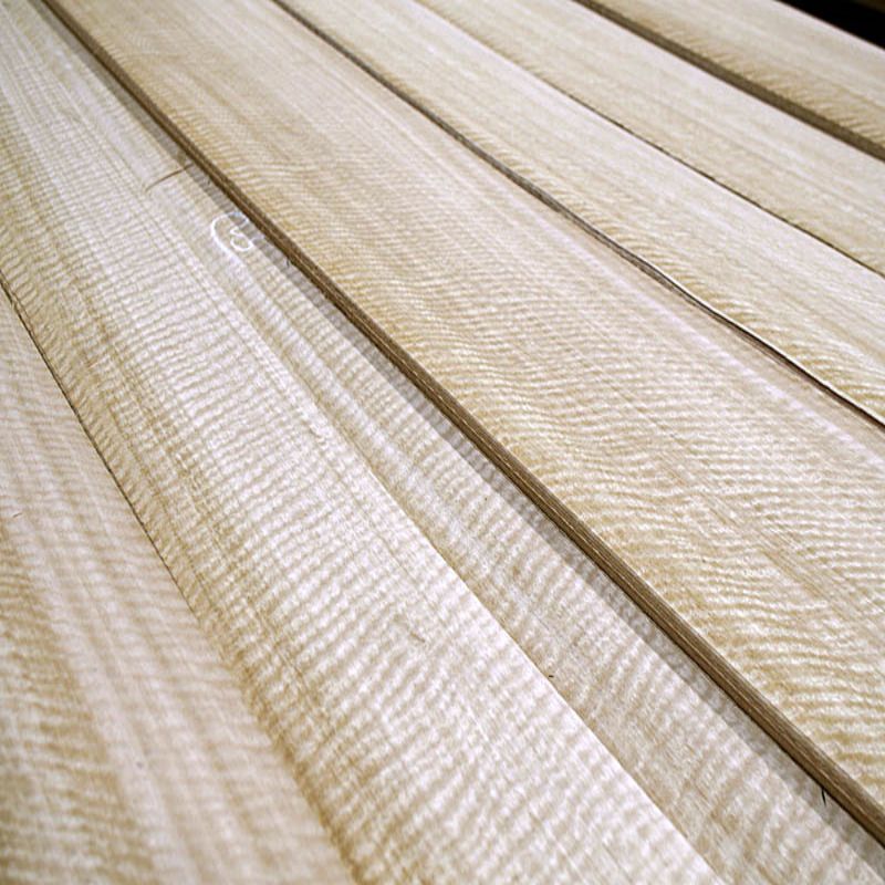 Quarter-Cut-Friss-Eucalyptus02