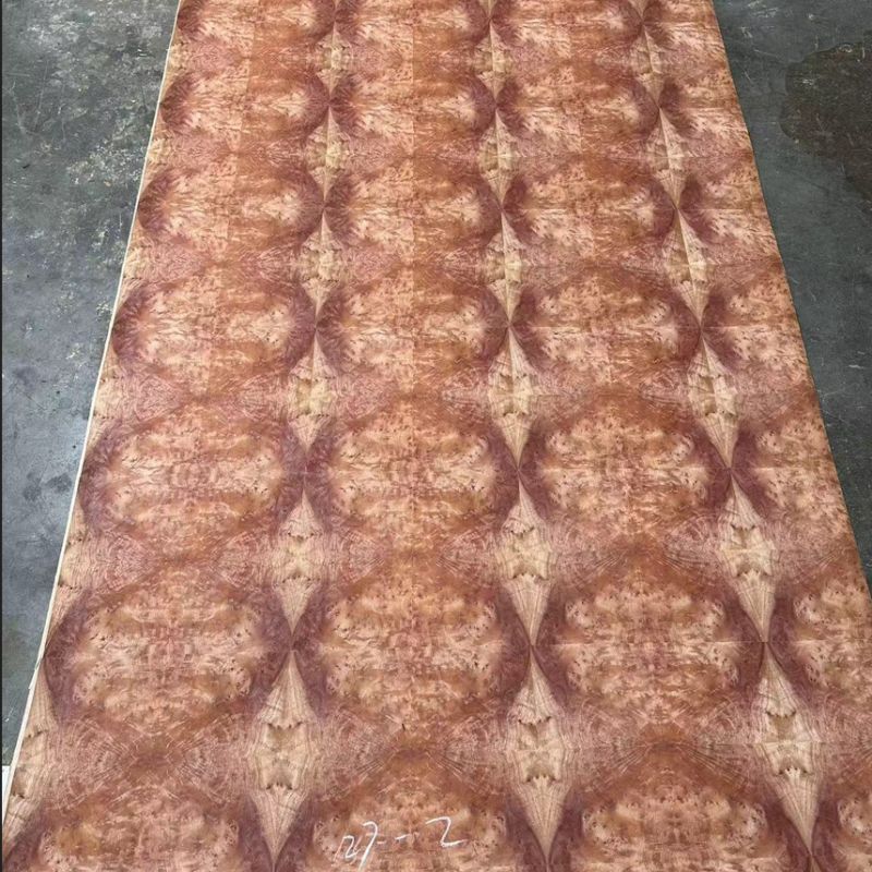 Red Camphor Tree Burl Veneer