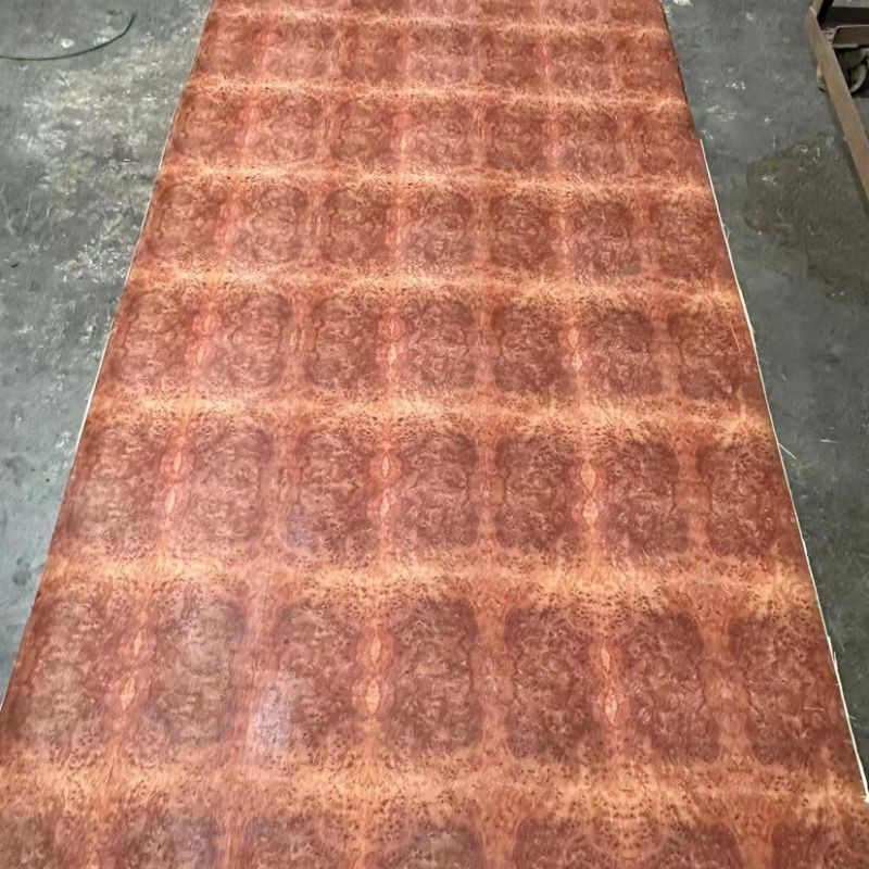 Red Camphor Tree Burl Veneer