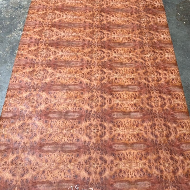 Red Camphor Tree Burl Veneer