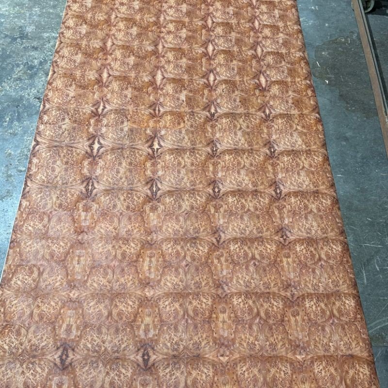 Red Camphor Tree Burl Veneer