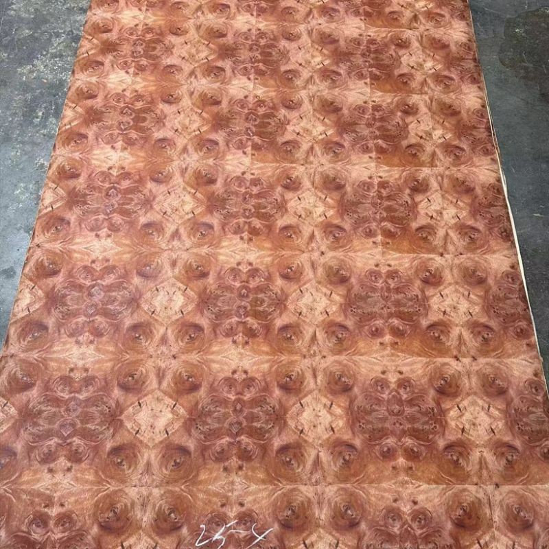 Red Camphor Tree Burl Veneer