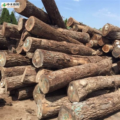 Red Oak Timber Red Oak Timber