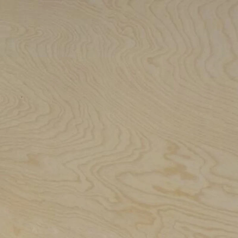 Westland Birch Straight Grain Veneer
